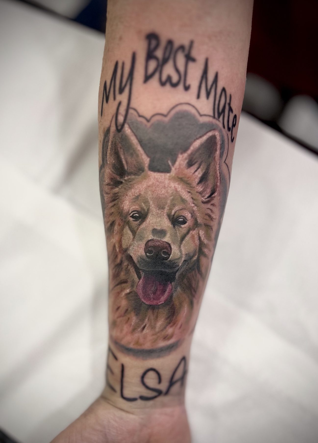 Dog Tattoo Benidorm