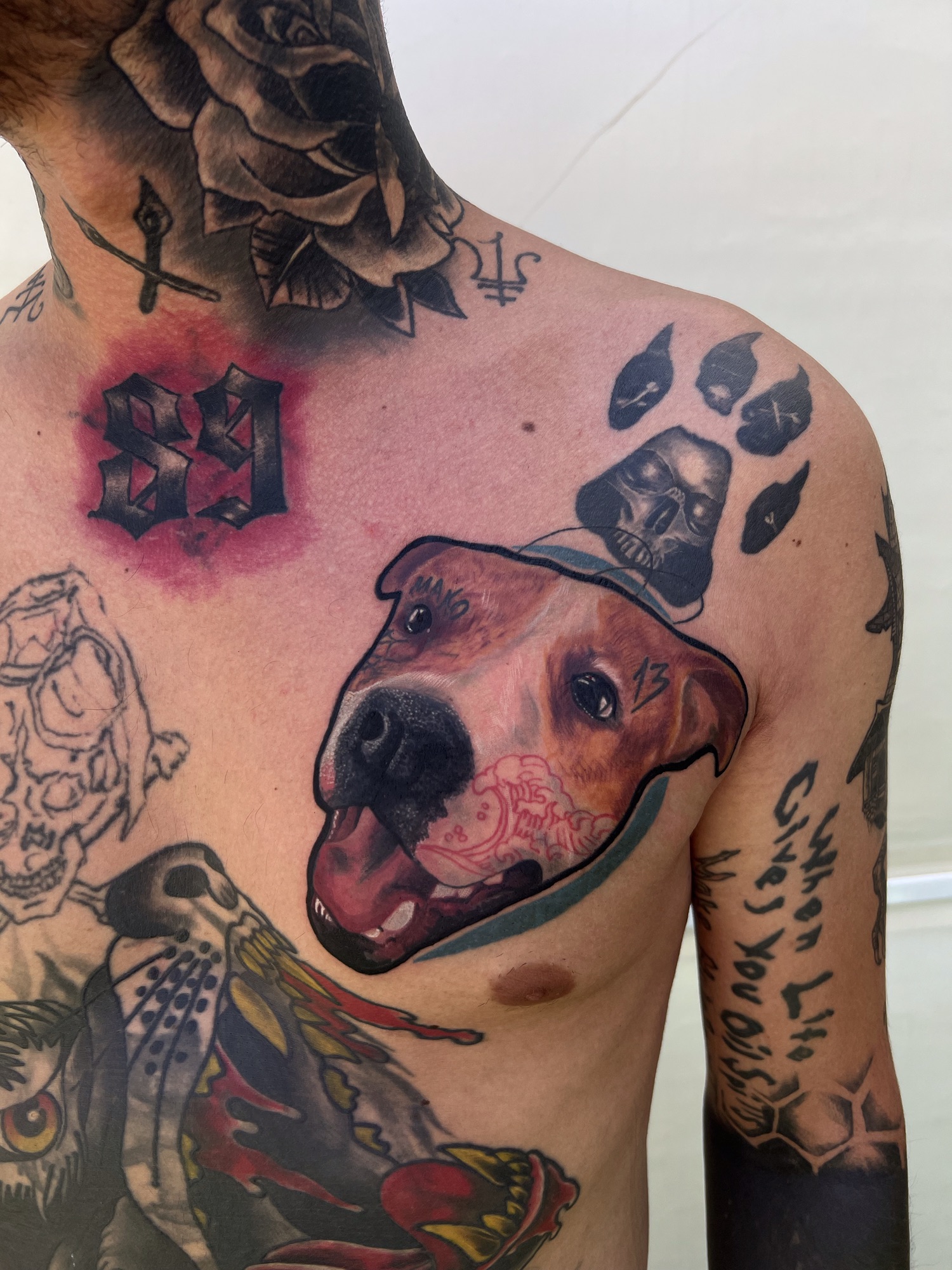 Color Dog Tattoo Benidorm